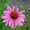 Photo of Qype User (Vorsch…)