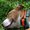 Photo of Qype User (aalleg…)