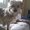 Photo of Josue H.