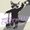 Photo of Diffusion E.
