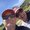 Photo of Shawna H.