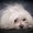 Photo of Joanne J.