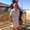 Photo of Enno S.