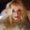 Photo of Cheryl S.