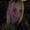 Photo of Cari S.