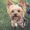 Photo of Bark S.