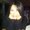 Photo of MariaElena G.