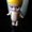 Photo of Dollie J.