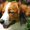 Photo of Qype User (Hannov…)