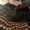 Photo of Cicada H.