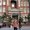 Photo of Junya T.