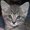 Photo of Qype User (nightf…)