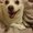 Photo of Moon Y.