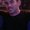 Photo of Matt S.