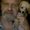 Photo of Kevin A V.