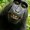 Photo of munkey b.