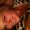Photo of Liene W.