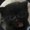 Photo of hehe h.