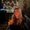 Photo of Eilish K.