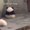 Photo of Daysy P.