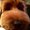 Photo of ChowHound B.