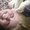 Photo of Kristin A.
