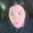 Photo of Lora F.