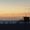 Photo of Tracon C.