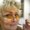 Photo of Terri N.
