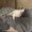 Photo of Corine R.