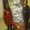 Photo of Rocio M.