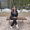 Photo of Jennifer R.