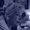 Photo of Sharon Renshall R.