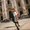 Photo of Yasmina R.