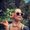 Photo of Stephanie T.