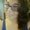 Photo of Sara M.