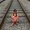 Photo of Preeti P.