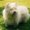 Photo of Qype User (Nordli…)