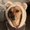 Photo of Minnie B.