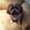 Photo of Kathie R.