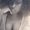Photo of Shaynna M.