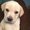 Photo of Meggie G.