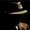 Photo of Qype User (dannyb…)