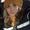 Photo of Samantha H.