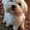 Photo of Selina M.