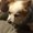 Photo of Nova P.