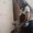 Photo of Alaan S.