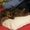 Photo of Cat A.