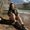 Photo of Amanda T.