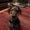 Photo of Darren R.